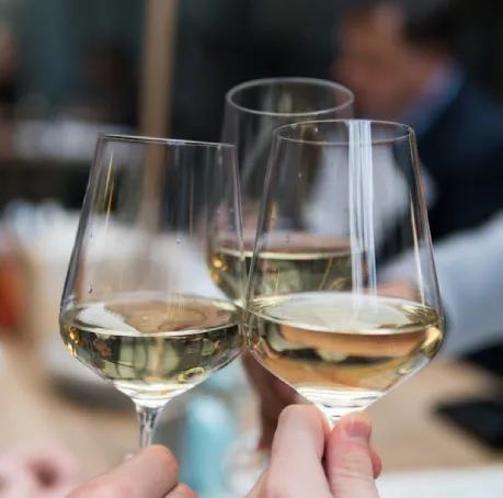 Personas brindando con copas de vino blanco en un evento social.