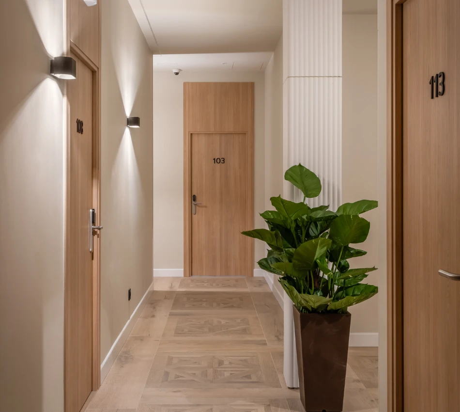 Pasillo con puertas numeradas y una planta decorativa al lado.