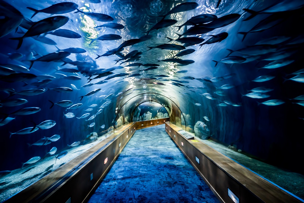 Valencia, a thousand plans in a destination full of light and magic - Hospes Hotels