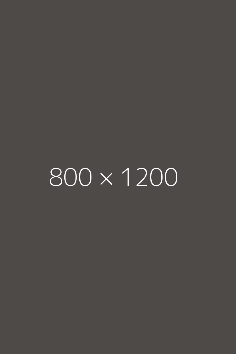 Imagen gris con el texto &ldquo;800 &times; 1200&rdquo;