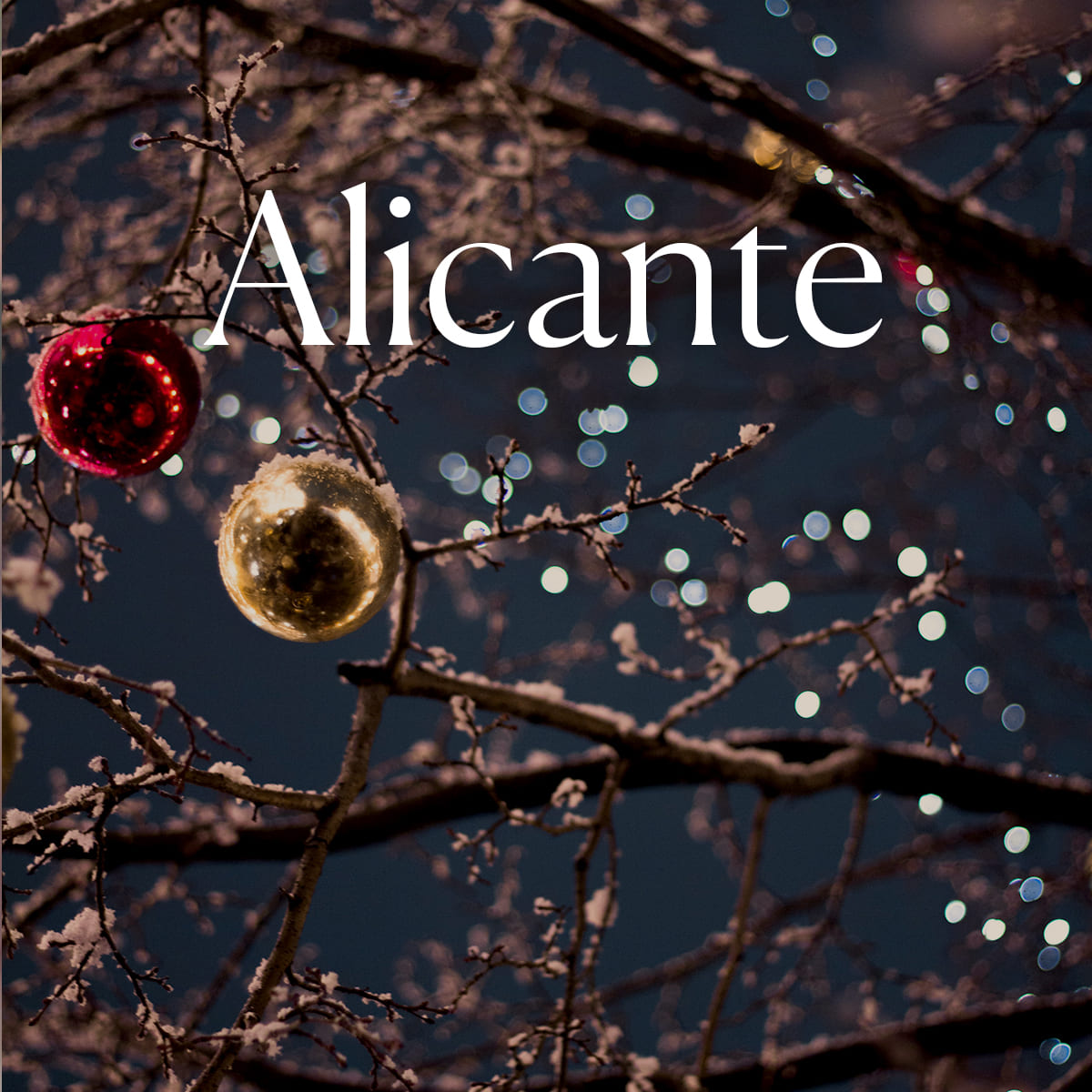 Christmas menus 2023 - Hospes Hotels