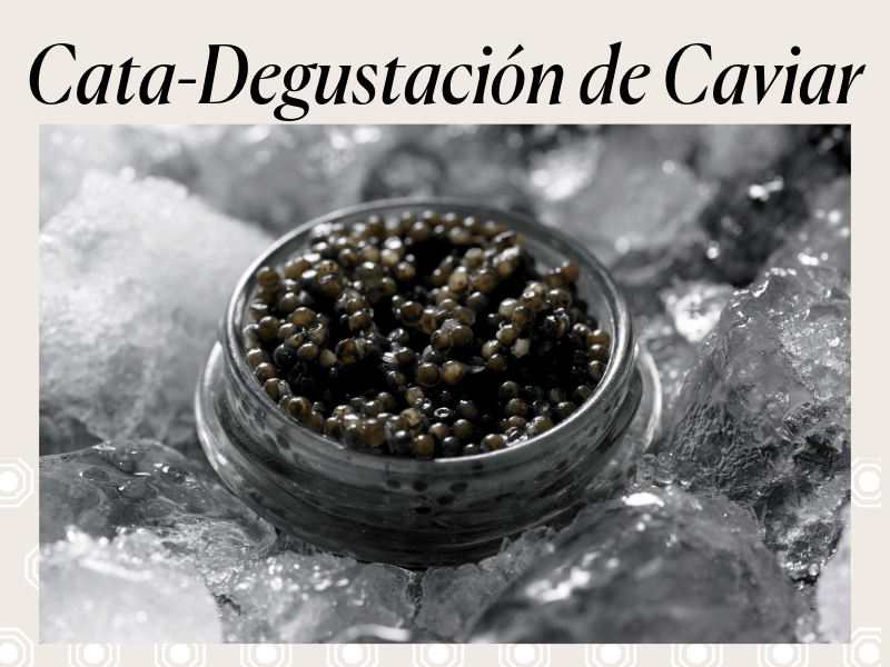 Granada | Experiencias de Caviar - Hospes Hotels