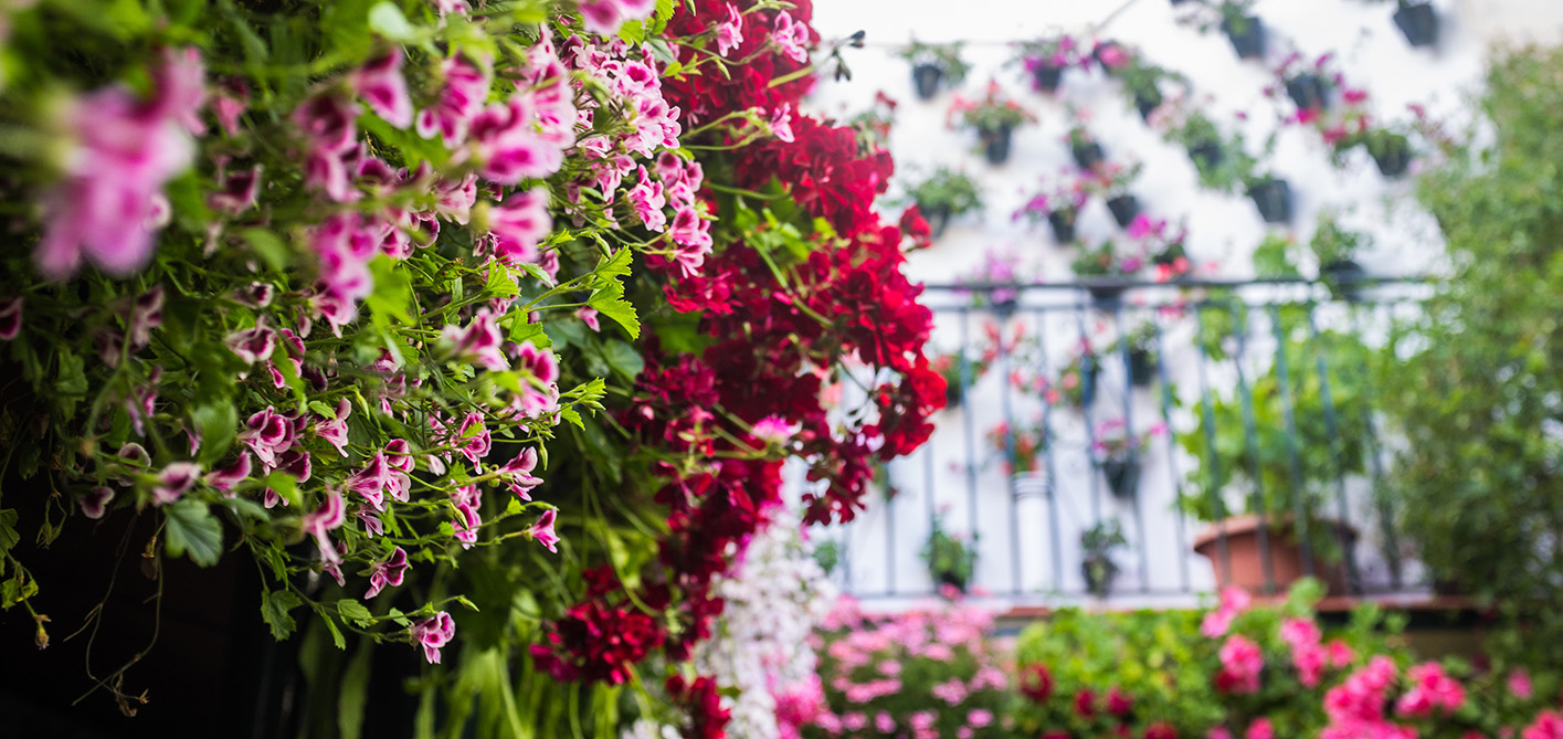 La Fiesta de los Patios de Córdoba: tradición viva entre flores, historia y convivencia - Hospes Hotels