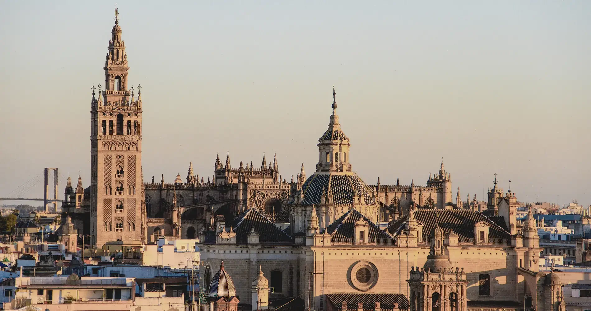 Catedral de Notre Dame de Par&iacute;s vista panor&aacute;mica al atardecer