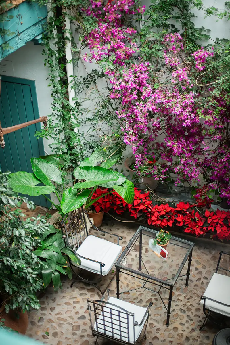 Patio con plantas trepadoras y flores moradas y rojas, mesas y sillas met&aacute;licas