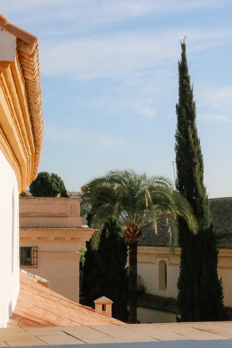 Patio con palmeras y cipr&eacute;s junto a edificios de pared blanca y ladrillo