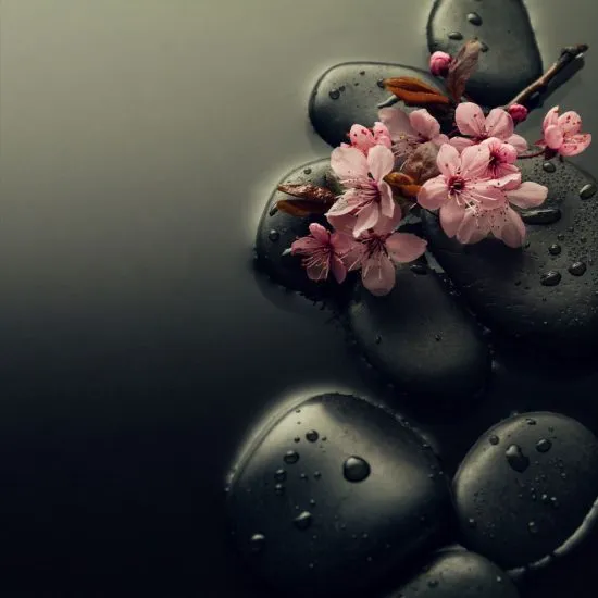 Flores rosadas sobre piedras calientes con gotas de agua y vapor