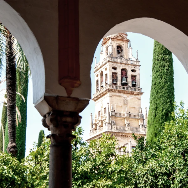 Torre hist&oacute;rica de un edificio colonial entre arcos y vegetaci&oacute;n.