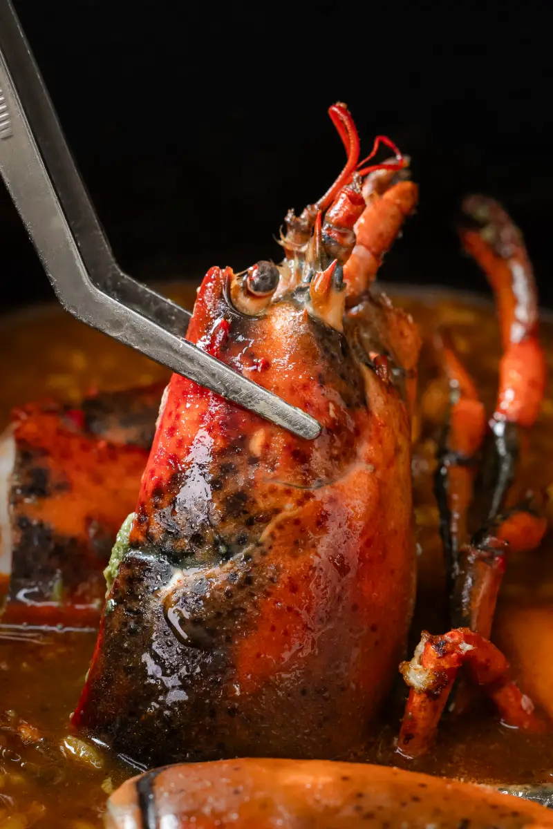 Langosta roja cocida con pinzas, en salsa, primer plano con fondo borroso.