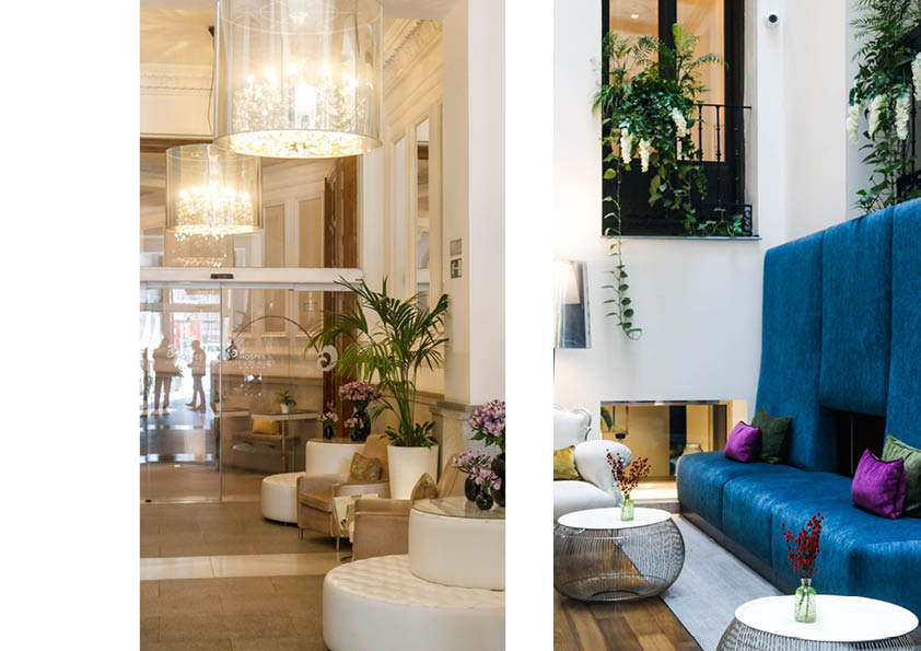 Amantes de la cocina, ¿Preparados para Madrid Fusión? - Hospes Hotels