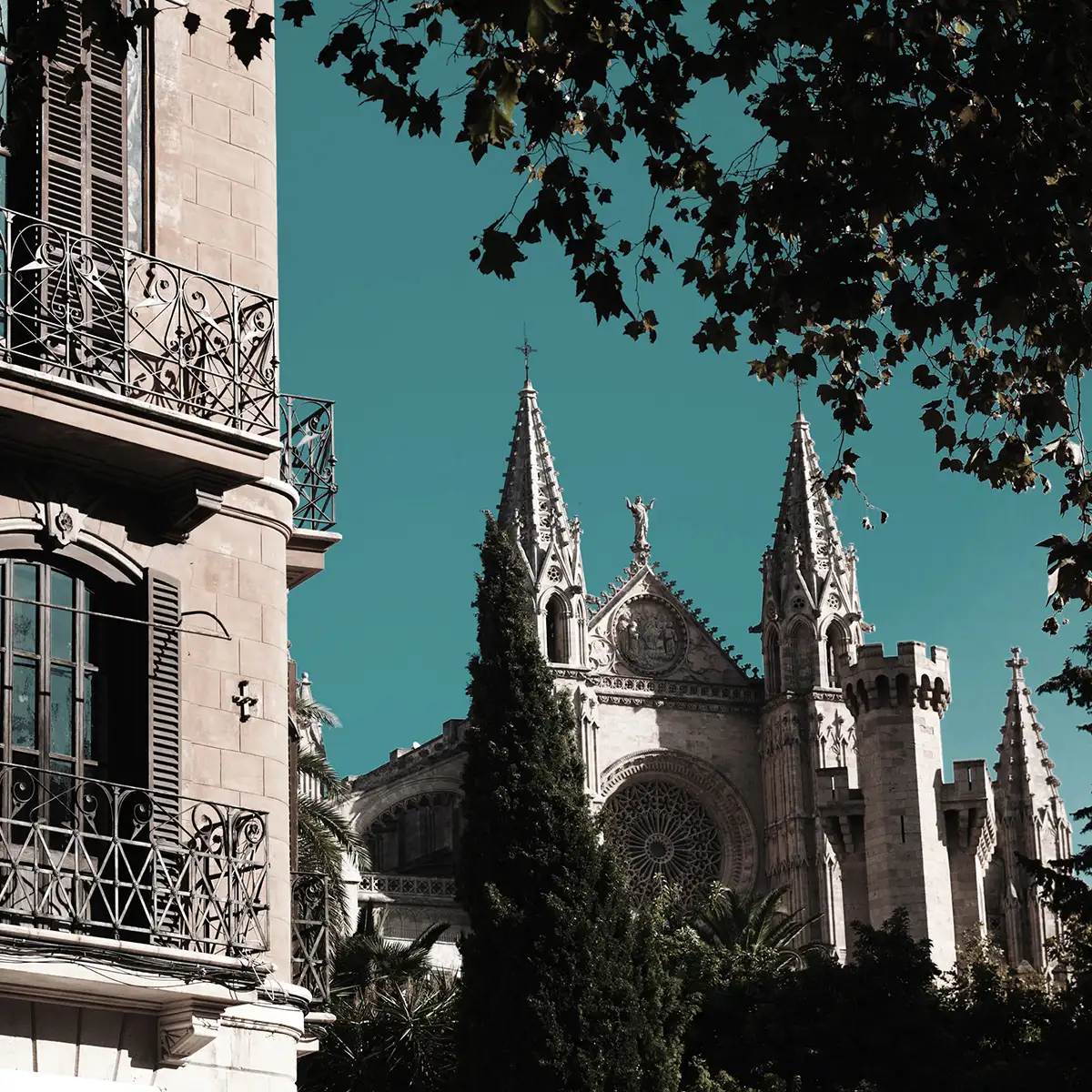 Catedral g&oacute;tica con torres, palmeras y &aacute;rboles enmarcados por hojas.