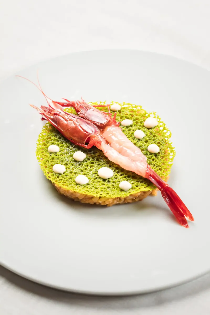 Tapa con esponja verde, langostinos y esferas blancas sobre plato blanco