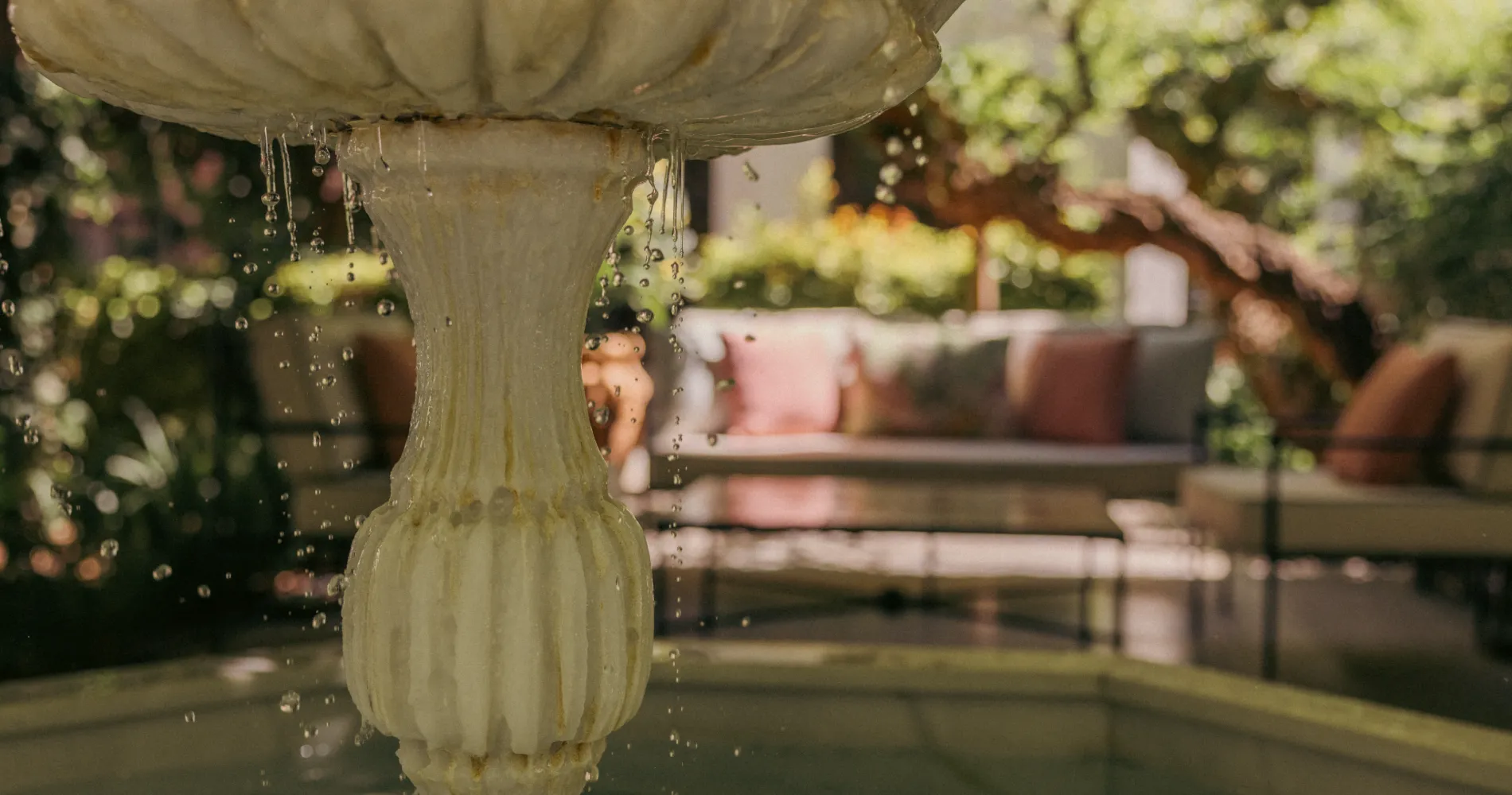 Jardinera regando chorro de agua sobre una planta, al aire libre.
