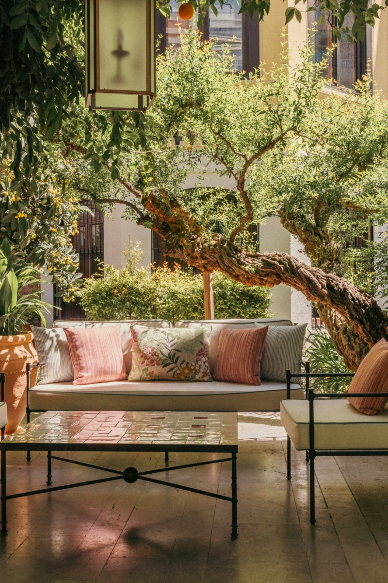 Terraza con sof&aacute;, mesa y cojines, rodeada de plantas y &aacute;rbol centenario.