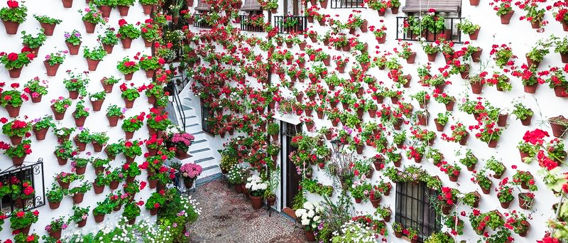 Festival of the Andalusian Patios of Cordoba - Hospes Hotels