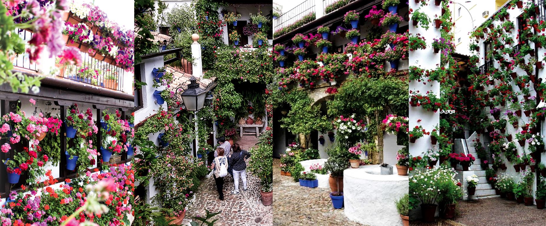 Vive los patios de Córdoba con el mejor sabor de boca - Hospes Hotels