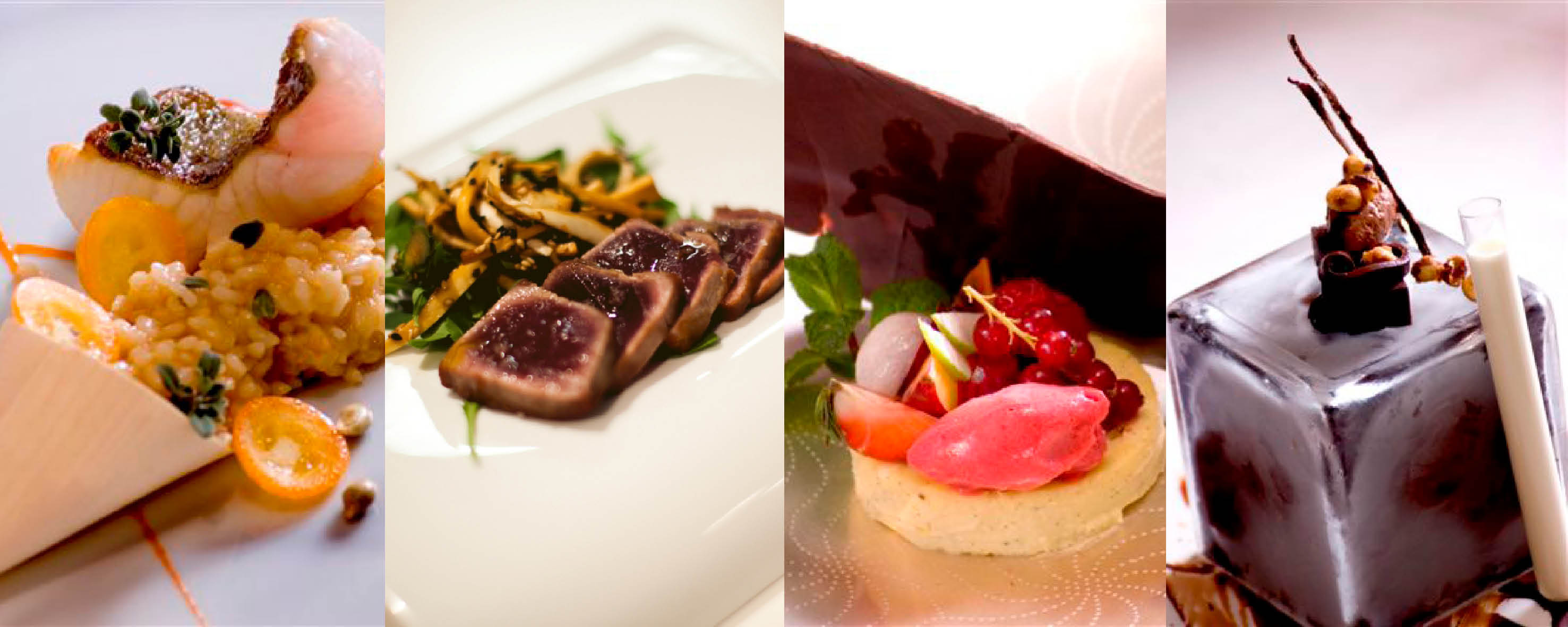 platos comida gastronomia