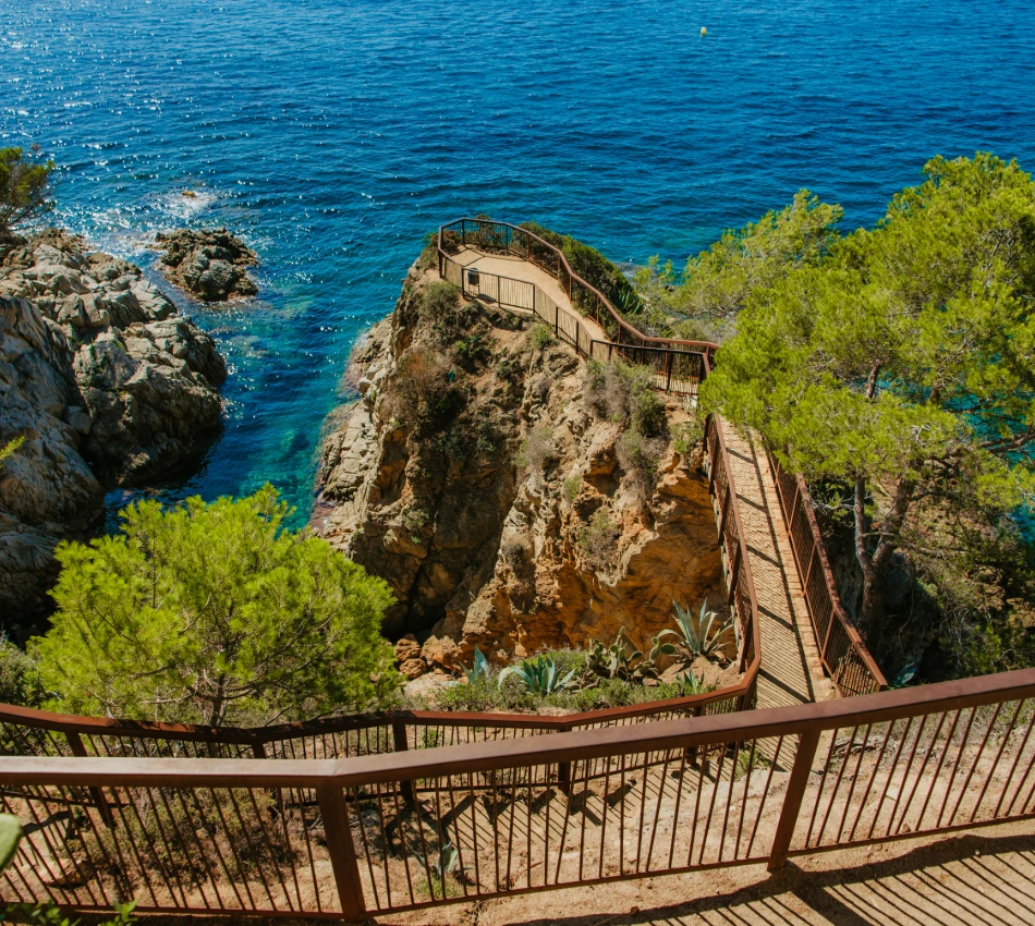 Pasarela sobre acantilado rocoso con vista al mar azul y vegetaci&oacute;n verde.