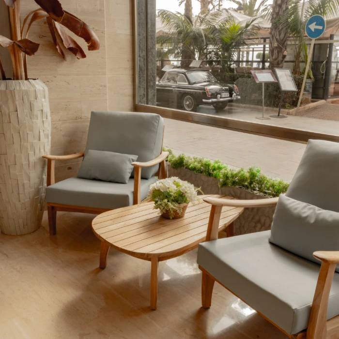 Sala con sillones grises, mesa de madera, planta decorativa, ventana y auto negro afuera.