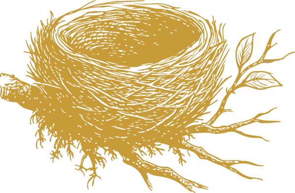 Nido amarillo y naranja estilo ilustraci&oacute;n
