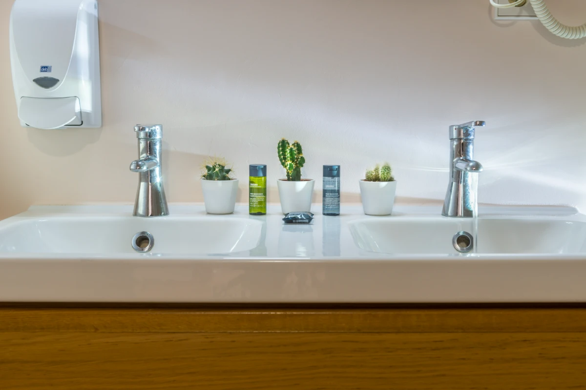 Lavabo blanco con dispensador y accesorios con plantas en macetas pequeñas.