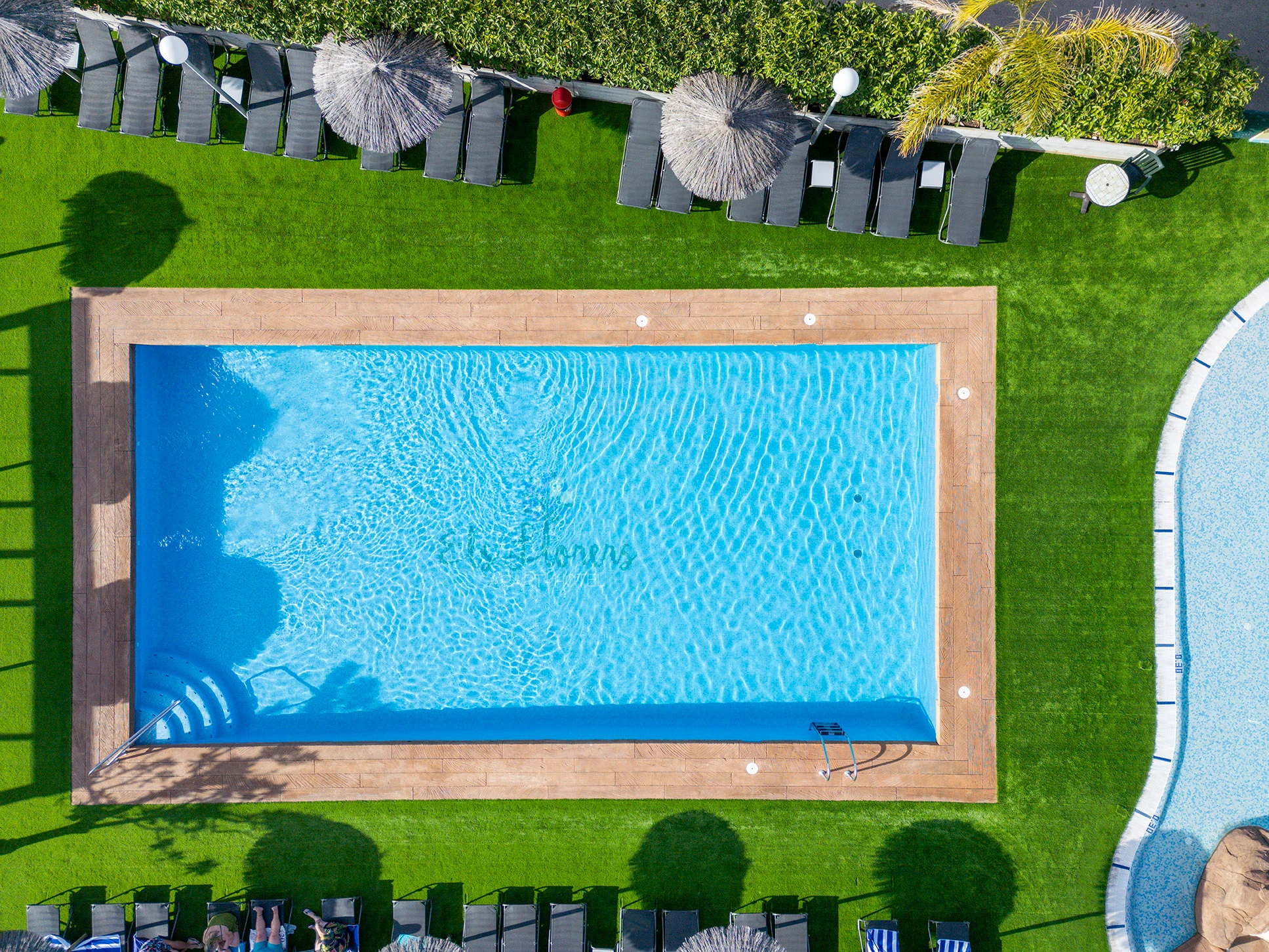 Vista aérea de piscina con césped verde, tumbonas y sombrillas en el jardín.