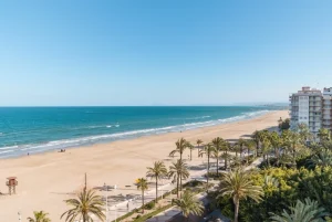 Playa de arena con palmeras y edificios junto al mar, cielo despejado.