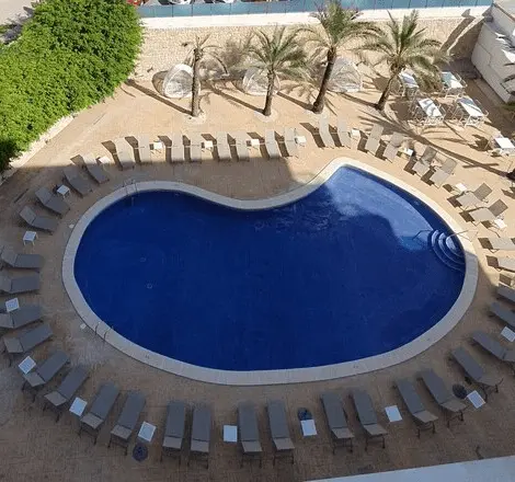 Piscina azul al aire libre rodeada de palmeras y tumbonas.