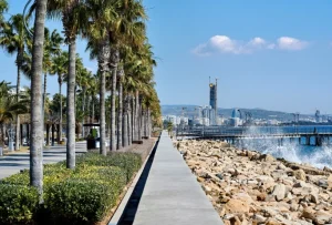 Paseo con palmeras junto al mar y el puerto con grúas al fondo.