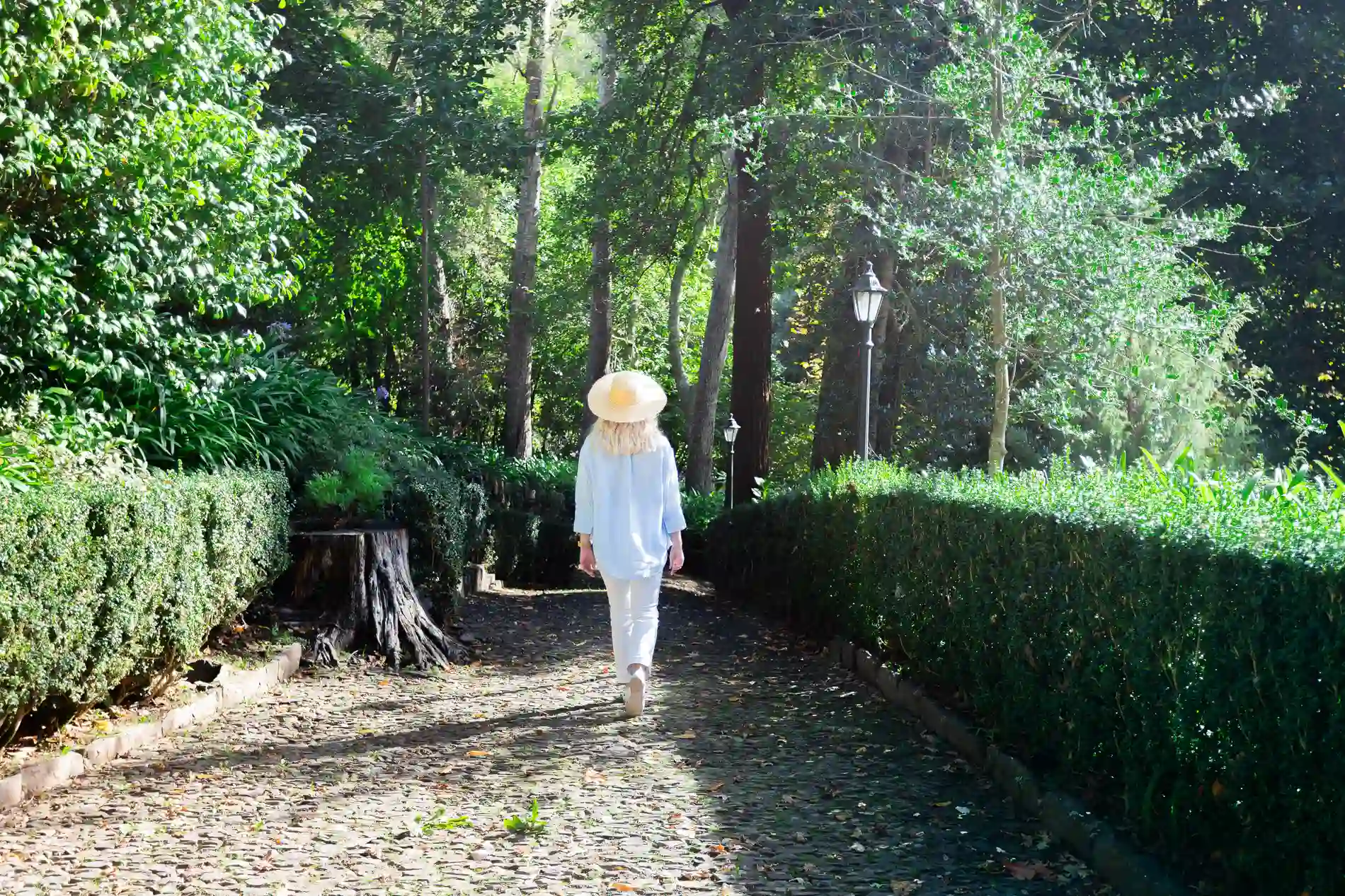 Pessoa caminhando em jardim arborizado com chap&eacute;u.