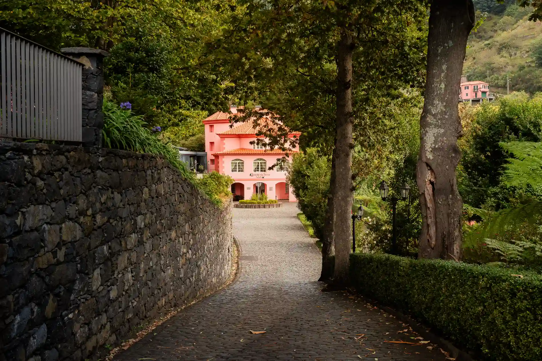 Caminho de pedra ladeado por &aacute;rvores leva a casa rosa em meio ao verde.