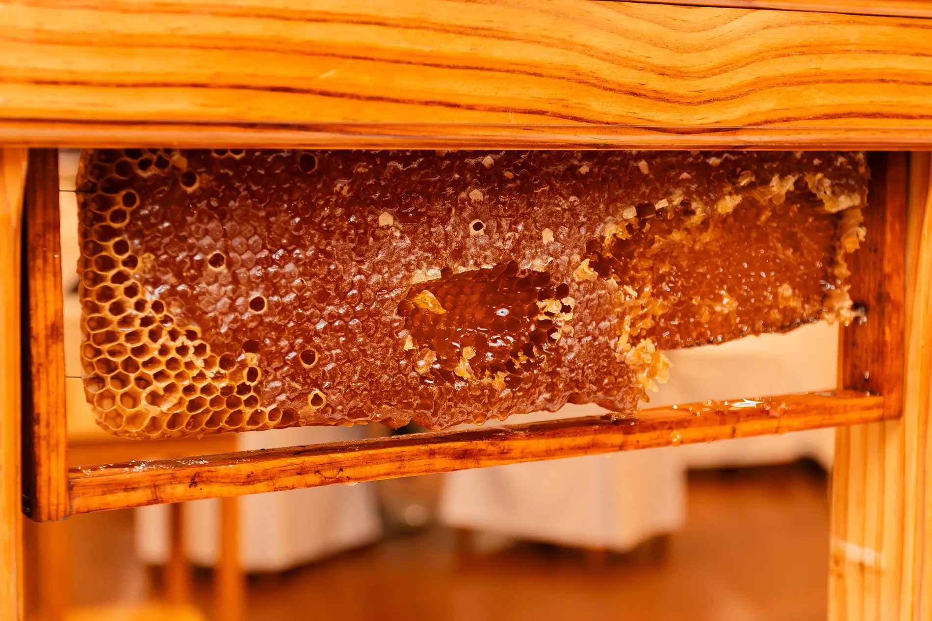 Favo de mel em estrutura de madeira, mostrando textura e cor &acirc;mbar.
