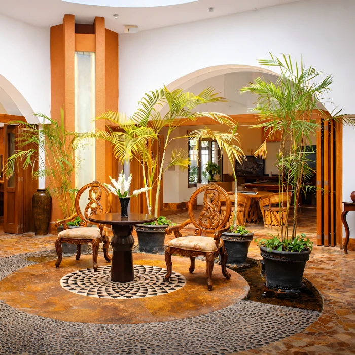 Terraza interior elegante con sillas de madera, plantas y mesa central redonda.