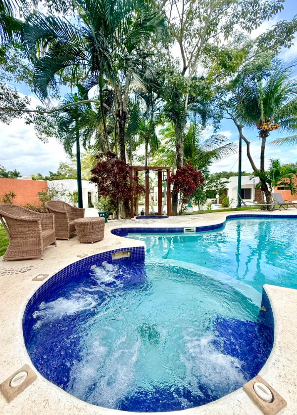Piscina con jacuzzi rodeada de palmeras y sillas de mimbre.