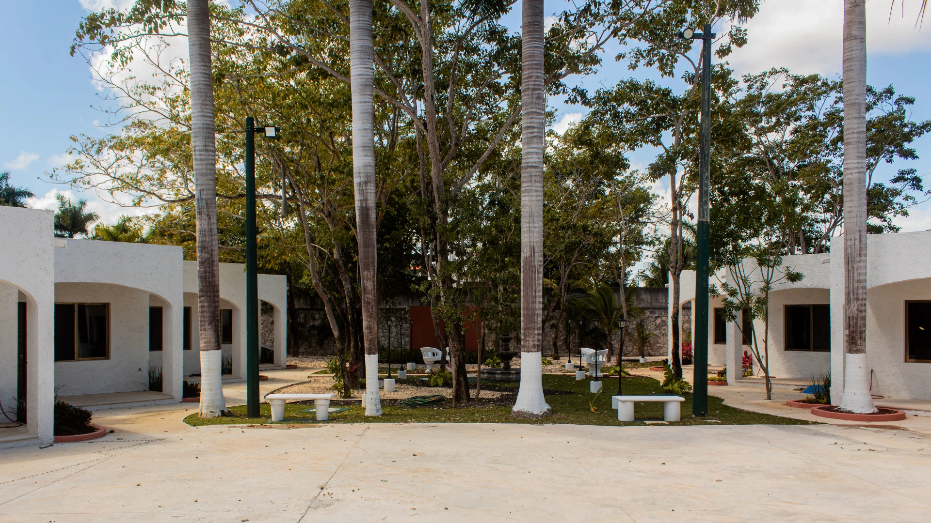 Patio con palmeras y bancas rodeado por edificios blancos y vegetaci&oacute;n.