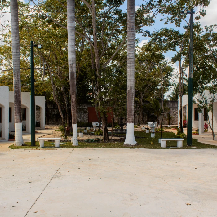 Plaza peque&ntilde;a con palmeras y bancos blancos en un d&iacute;a soleado.
