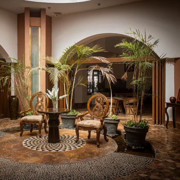 Sala con sillas elegantes y plantas en macetas sobre suelo decorativo.