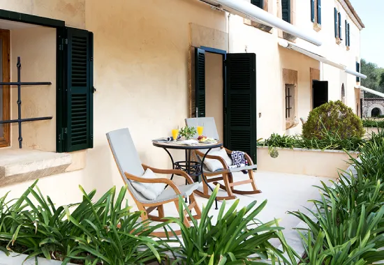 Terraza de una casa con sillas, mesa y plantas alrededor.
