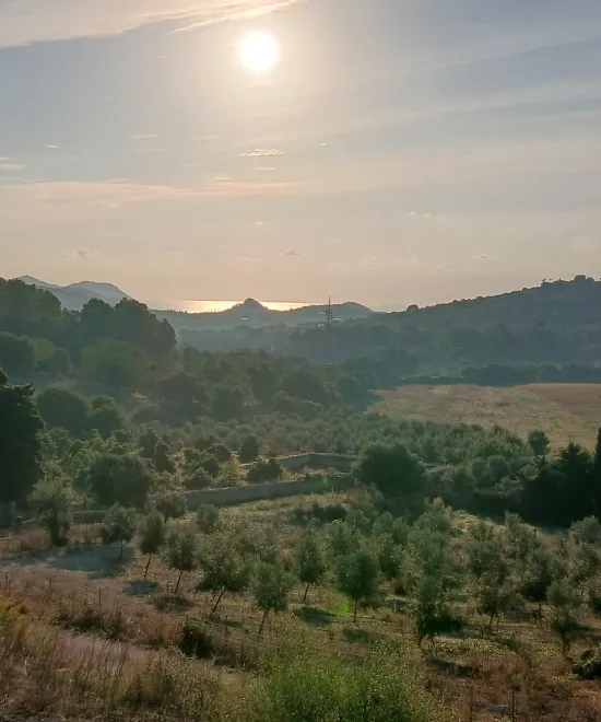 Paisaje rural con sol al amanecer sobre campos y colinas arboladas.