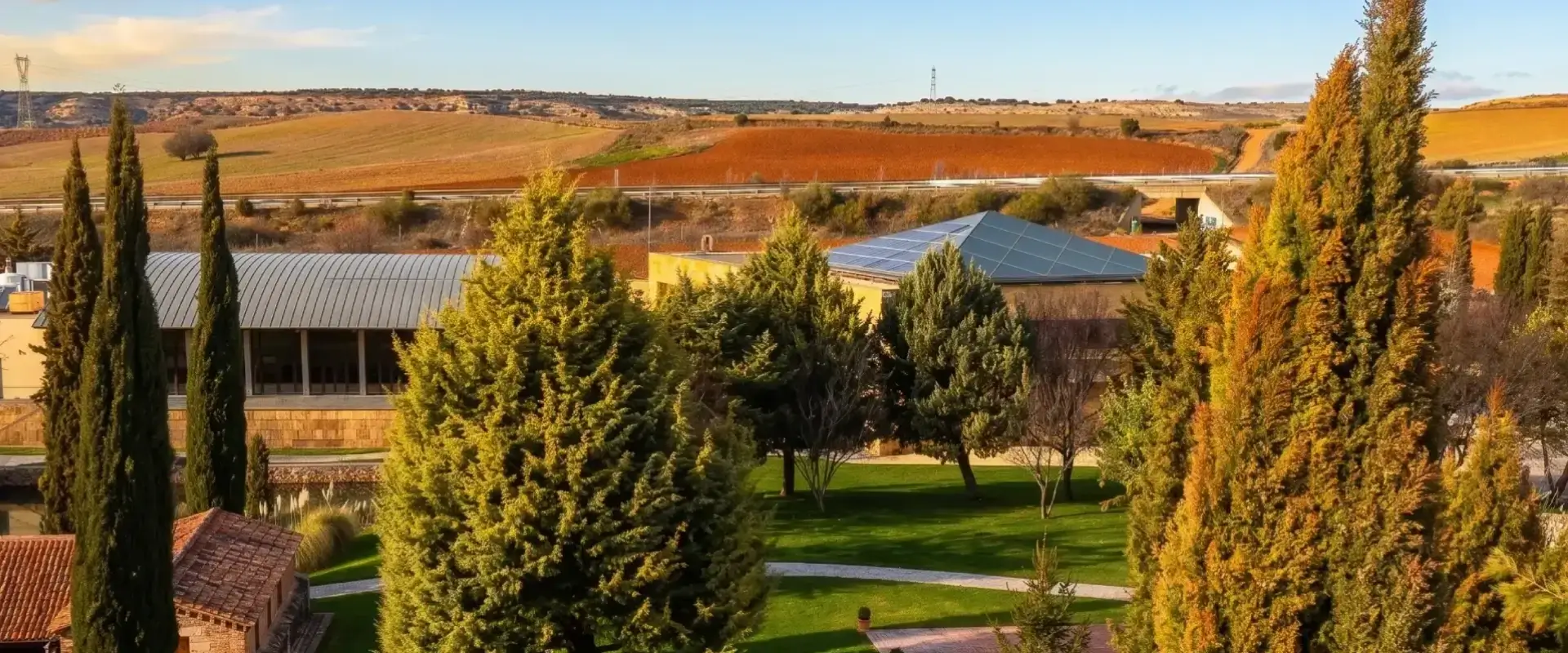 &Aacute;rboles y edificios rodeados de campos con pastizales en el fondo.