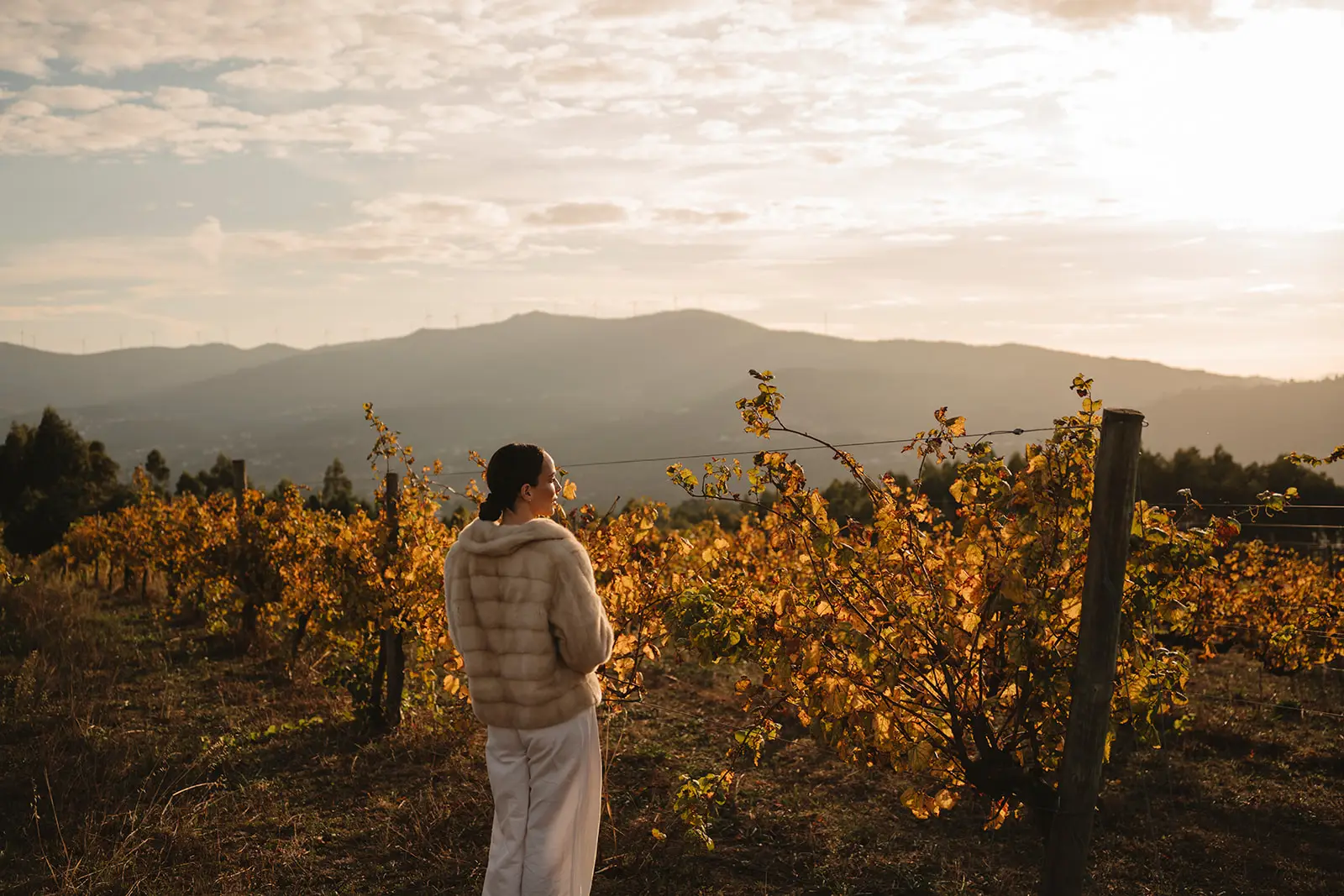 Pessoa em vinhedo ao entardecer com montanhas ao fundo.