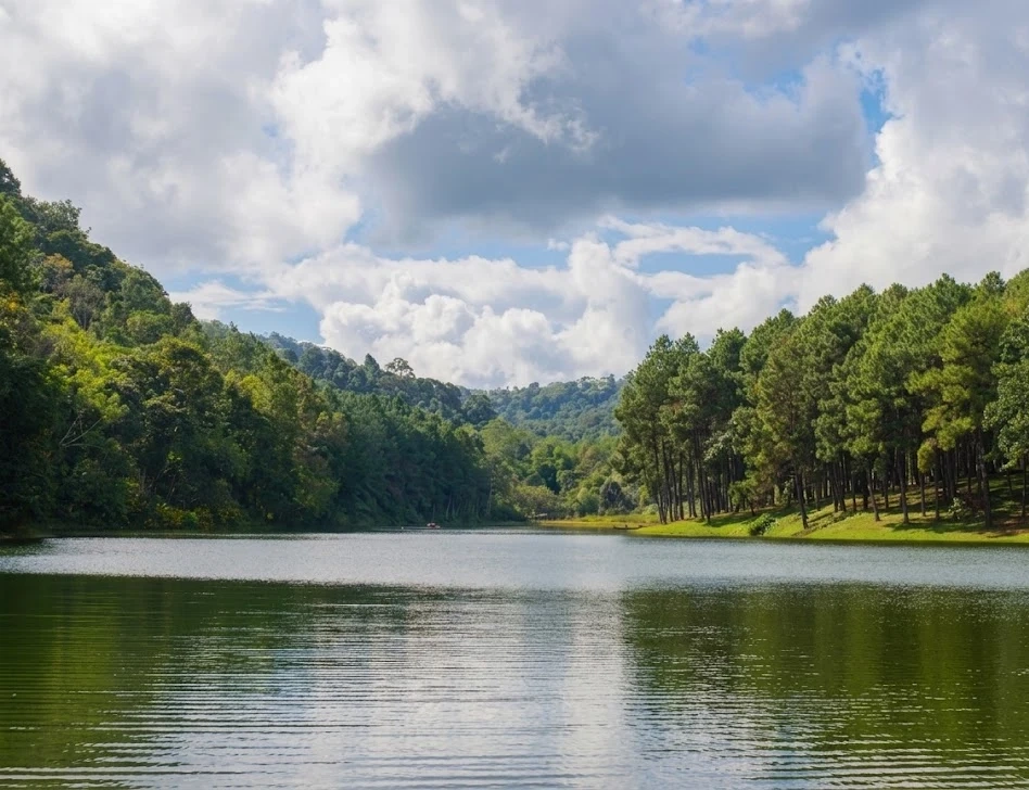 Lago cercado por &aacute;rvores e montanhas sob c&eacute;u nublado e luz do sol