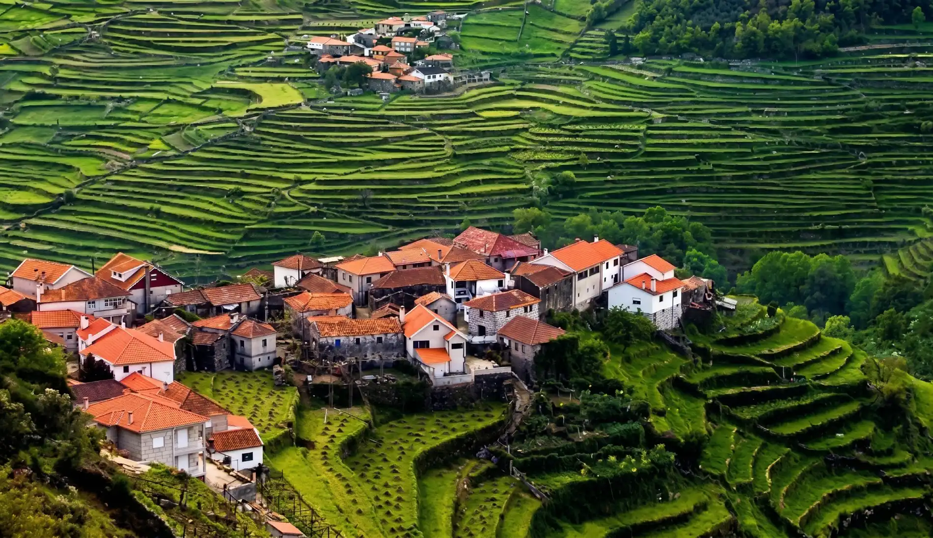 Aldeia rural com casas de telhas vermelhas e campos verdes em terra&ccedil;os