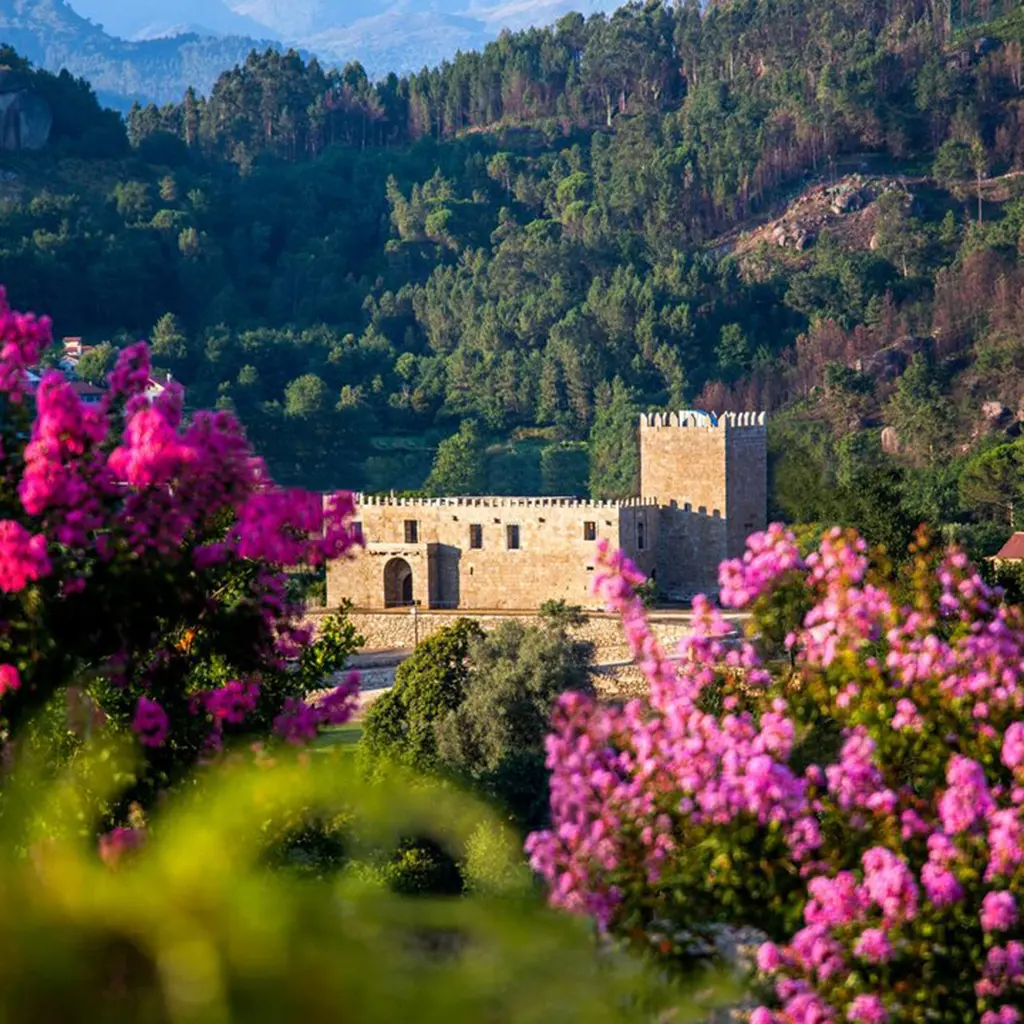 Castelo entre montanhas e flores rosa em uma paisagem natural.