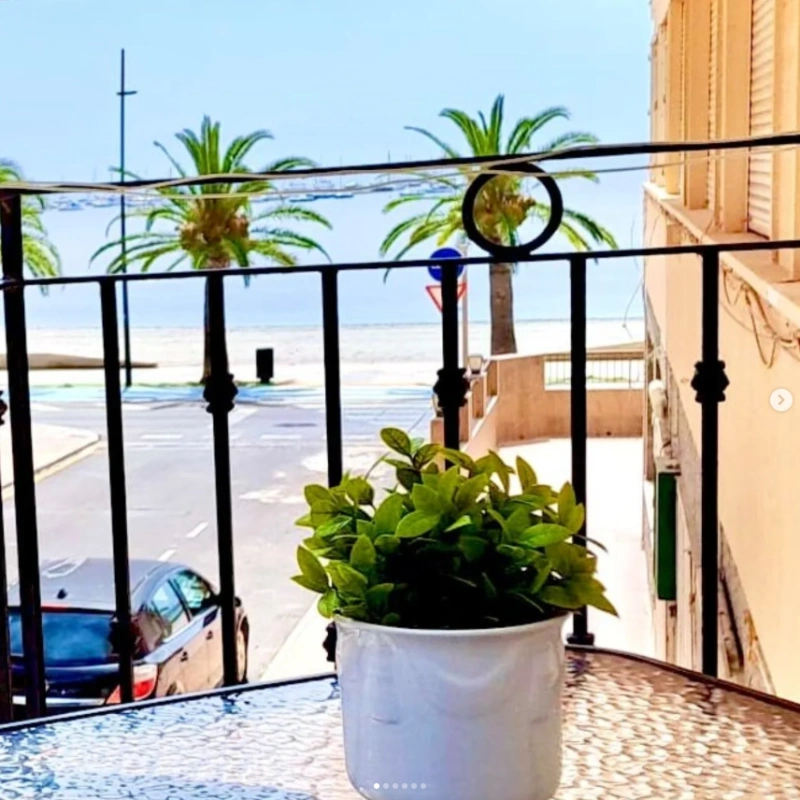 Maceta en balc&oacute;n con vista al mar y palmeras en la calle.
