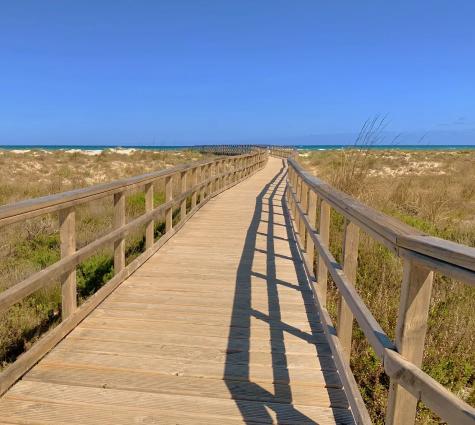 Pasarela de madera hacia la playa, cielo azul claro y vegetaci&oacute;n a los lados.