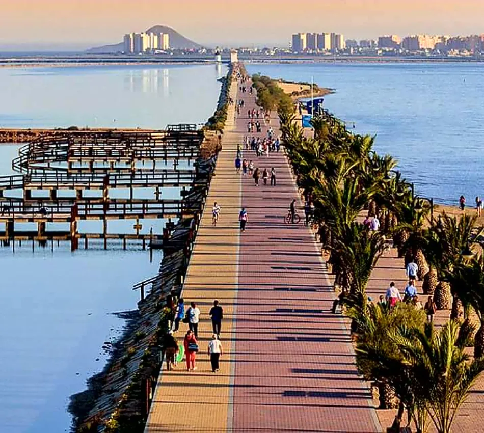 Paseo mar&iacute;timo con palmeras y personas caminando junto al mar al atardecer.