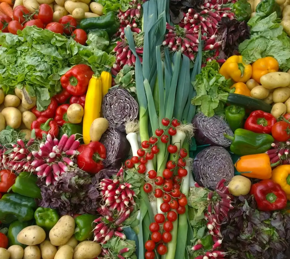 L&eacute;gumes color&eacute;s et vari&eacute;s dispos&eacute;s en &eacute;ventail.