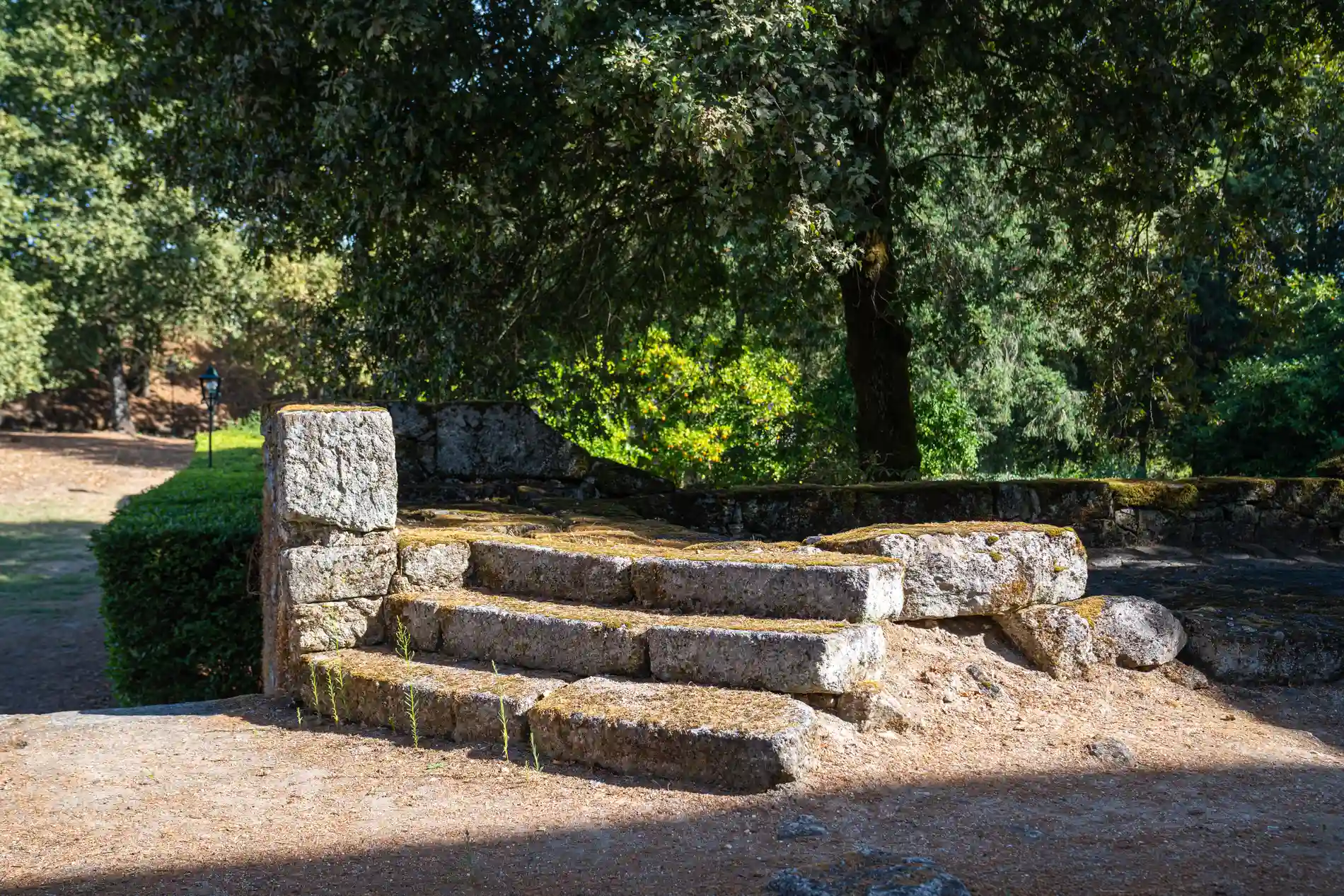 Ruínas de pedras e rugeiras cercadas por árvores em parque ao sol