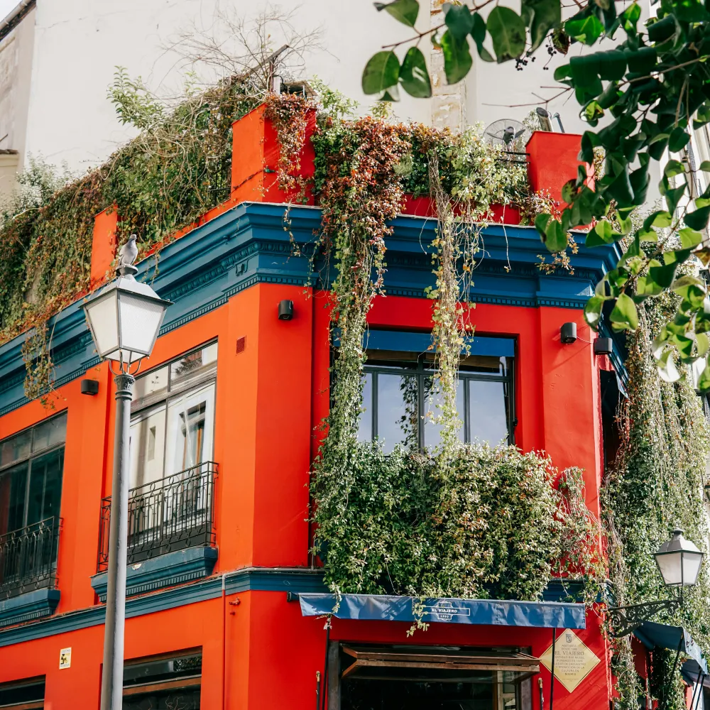 Password to Casa de Campo - Password Hostels
